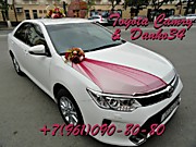 Toyota Camry & Danko34 или лучшее на свадьбу! Машины и свадебные украшения на авто в Волгограде +7(961)090-80-80