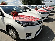 Эффектный свадебный кортеж, оформленный красными украшениями для Вас! Машины и декор на свадебные авто у нас!