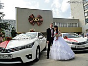 Самый популярный свадебный кортеж в Волгограде - это Данко-кортеж Волгоград! Прокат авто, аренда украшений для свадебных машин.